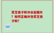 灵芝孢子粉冲水后图片？如何正确冲泡灵芝孢子粉？