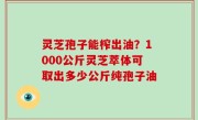灵芝孢子能榨出油？1000公斤灵芝萃体可取出多少公斤纯孢子油