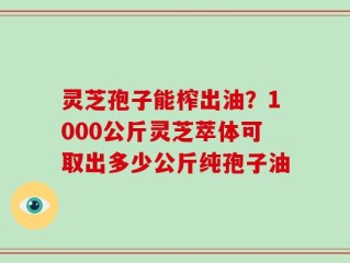 灵芝孢子能榨出油？1000公斤灵芝萃体可取出多少公斤纯孢子油