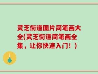 灵芝街道图片简笔画大全(灵芝街道简笔画全集，让你快速入门！)