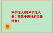 采灵芝人参(采灵芝人参：珍贵中药材的完美组合)