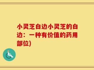 小灵芝白边小灵芝的白边：一种有价值的药用部位)