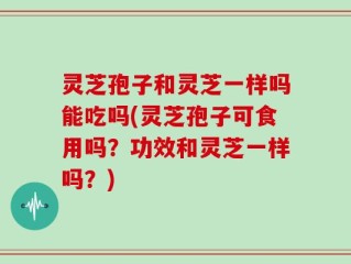 灵芝孢子和灵芝一样吗能吃吗(灵芝孢子可食用吗？功效和灵芝一样吗？)
