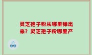 灵芝孢子粉从哪里弹出来？灵芝孢子粉哪里产