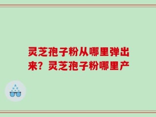 灵芝孢子粉从哪里弹出来？灵芝孢子粉哪里产