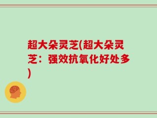 超大朵灵芝(超大朵灵芝：强效抗氧化好处多)