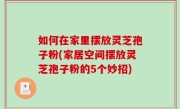 如何在家里摆放灵芝孢子粉(家居空间摆放灵芝孢子粉的5个妙招)