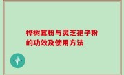 桦树茸粉与灵芝孢子粉的功效及使用方法
