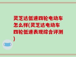 灵芝达低速四轮电动车怎么样(灵芝达电动车四轮低速表现综合评测)