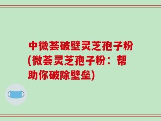 中微荟破壁灵芝孢子粉(微荟灵芝孢子粉：帮助你破除壁垒)