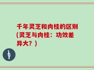 千年灵芝和肉桂的区别(灵芝与肉桂：功效差异大？)