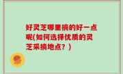 好灵芝哪里摘的好一点呢(如何选择优质的灵芝采摘地点？)