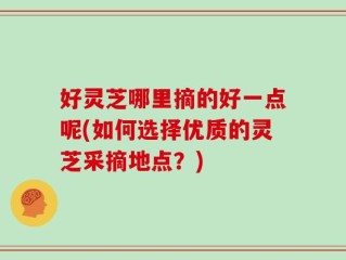 好灵芝哪里摘的好一点呢(如何选择优质的灵芝采摘地点？)