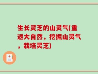 生长灵芝的山灵气(重返大自然，挖掘山灵气，栽培灵芝)