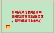 吕明亮灵芝栽培(吕明亮成功培育高品质灵芝，探寻健康生长秘诀)