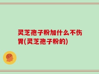 灵芝孢子粉加什么不伤胃(灵芝孢子粉的)