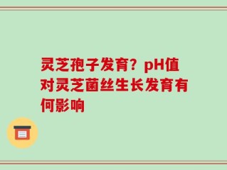 灵芝孢子发育？pH值对灵芝菌丝生长发育有何影响