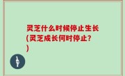 灵芝什么时候停止生长(灵芝成长何时停止？)