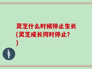 灵芝什么时候停止生长(灵芝成长何时停止？)