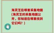 海灵芝在哪里采集地图(海灵芝的采集地图公开，你知道在哪里找到它们吗？)