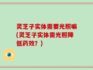 灵芝子实体需要光照嘛(灵芝子实体需光照降低药效？)