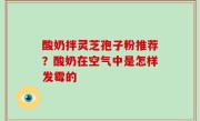 酸奶拌灵芝孢子粉推荐？酸奶在空气中是怎样发霉的