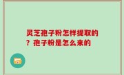 灵芝孢子粉怎样提取的？孢子粉是怎么来的