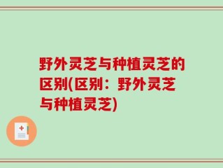 野外灵芝与种植灵芝的区别(区别：野外灵芝与种植灵芝)