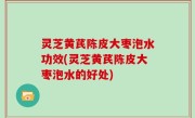 灵芝黄芪陈皮大枣泡水功效(灵芝黄芪陈皮大枣泡水的好处)