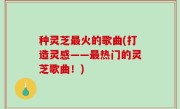 种灵芝最火的歌曲(打造灵感——最热门的灵芝歌曲！)