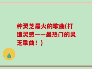 种灵芝最火的歌曲(打造灵感——最热门的灵芝歌曲！)