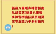 新县八里畈乡神留桥南队胡灵芝(新县八里畈乡神留桥南队队员胡灵芝专业致力于乡村振兴)