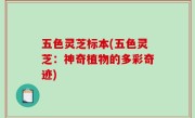 五色灵芝标本(五色灵芝：神奇植物的多彩奇迹)