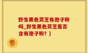 野生黑色灵芝有孢子粉吗_野生黑色灵芝是否含有孢子粉？)