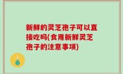 新鲜的灵芝孢子可以直接吃吗(食用新鲜灵芝孢子的注意事项)