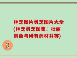 林芝图片灵芝图片大全(林芝灵芝图集：壮丽景色与稀有药材并存)