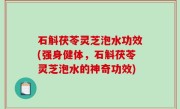 石斛茯苓灵芝泡水功效(强身健体，石斛茯苓灵芝泡水的神奇功效)