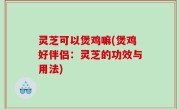 灵芝可以煲鸡嘛(煲鸡好伴侣：灵芝的功效与用法)