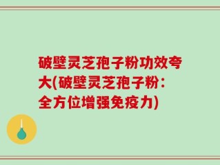 破壁灵芝孢子粉功效夸大(破壁灵芝孢子粉：全方位增强免疫力)