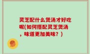 灵芝配什么煲汤才好吃呢(如何搭配灵芝煲汤，味道更加美味？)