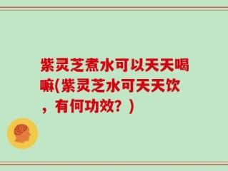 紫灵芝煮水可以天天喝嘛(紫灵芝水可天天饮，有何功效？)