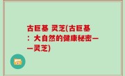 古巨基 灵芝(古巨基：大自然的健康秘密——灵芝)