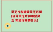 灵芝片和破壁灵芝区别(区分灵芝片和破壁灵芝 知道你需要什么)