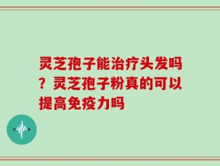 灵芝孢子能治疗头发吗？灵芝孢子粉真的可以提高免疫力吗
