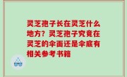 灵芝孢子长在灵芝什么地方？灵芝孢子究竟在灵芝的伞面还是伞底有相关参考书籍