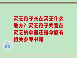 灵芝孢子长在灵芝什么地方？灵芝孢子究竟在灵芝的伞面还是伞底有相关参考书籍
