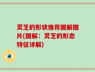 灵芝的形状推荐图解图片(图解：灵芝的形态特征详解)