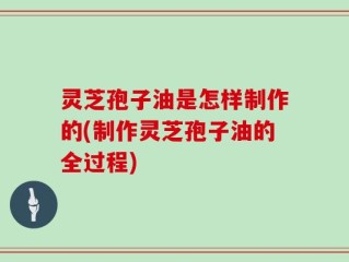 灵芝孢子油是怎样制作的(制作灵芝孢子油的全过程)