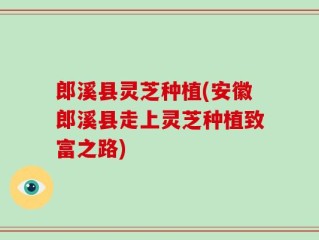 郎溪县灵芝种植(安徽郎溪县走上灵芝种植致富之路)