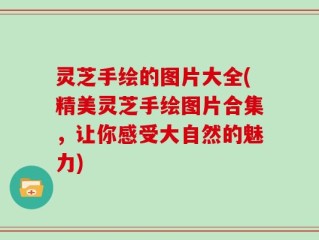 灵芝手绘的图片大全(精美灵芝手绘图片合集，让你感受大自然的魅力)